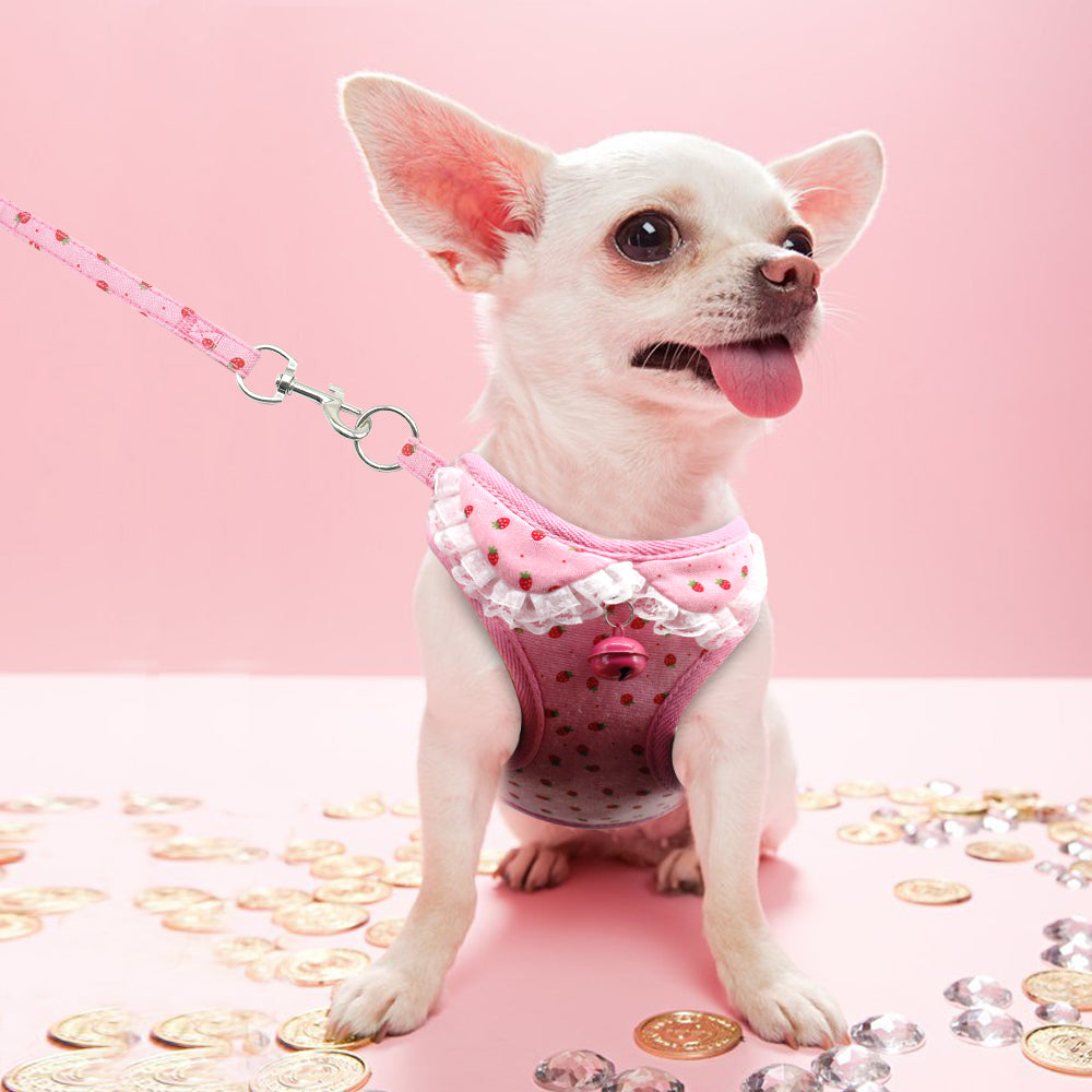 Chest harness bell dog leash