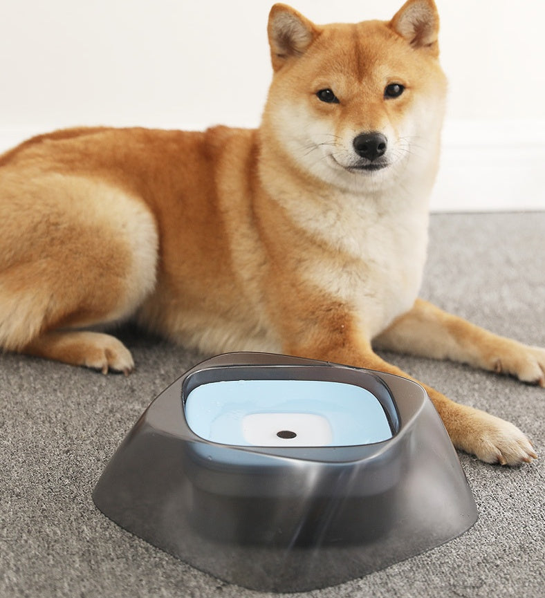 Bowl No Spill Drinking Water Feeder