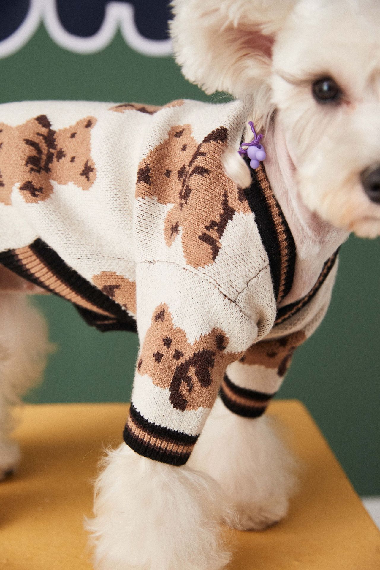 Sweater for Pets