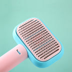 Detangling Brush