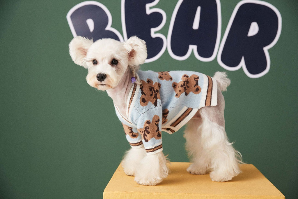 Sweater for Pets
