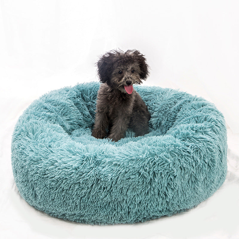 Cute Bed for Pets