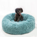 Cute Bed for Pets