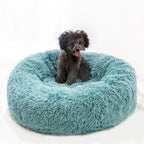 Cute Bed for Pets