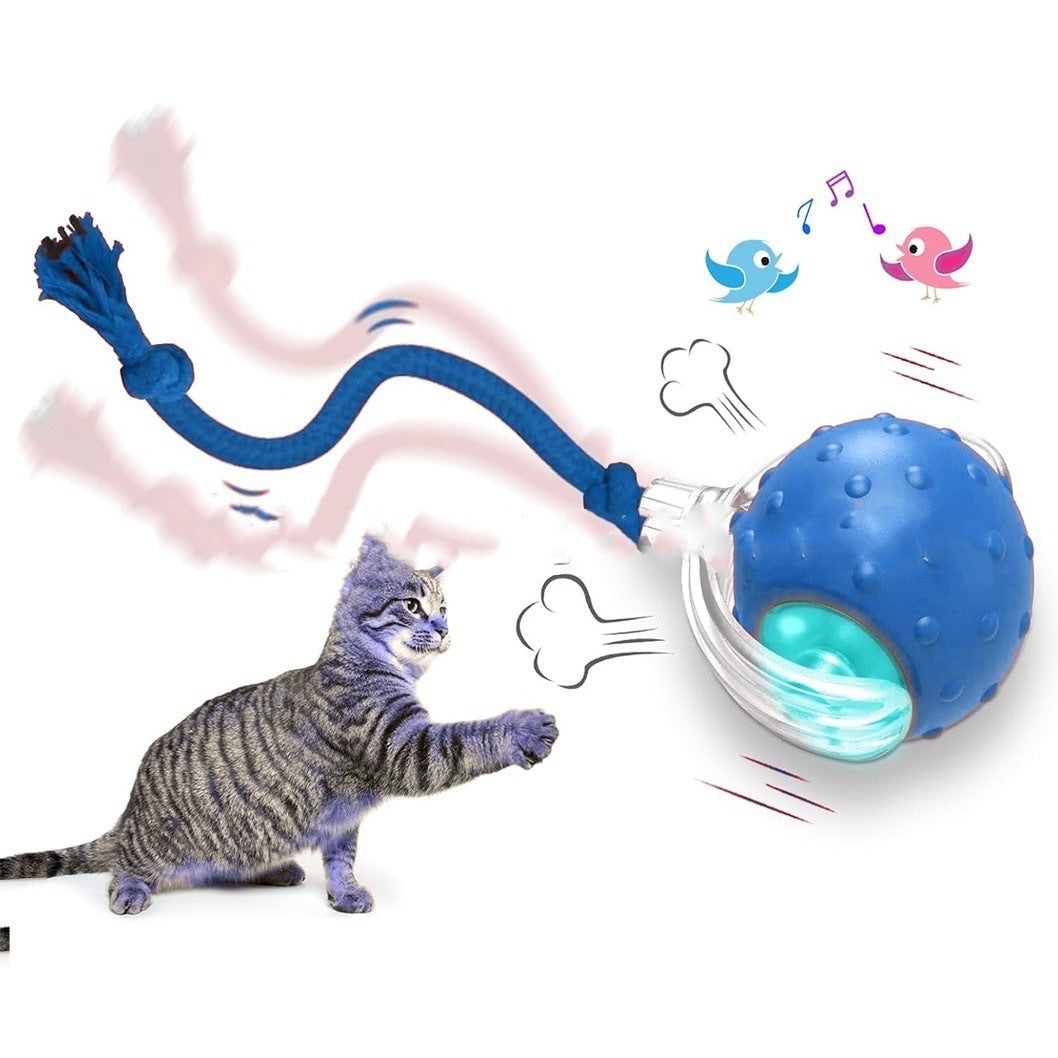 Interactive Cat Toy Ball