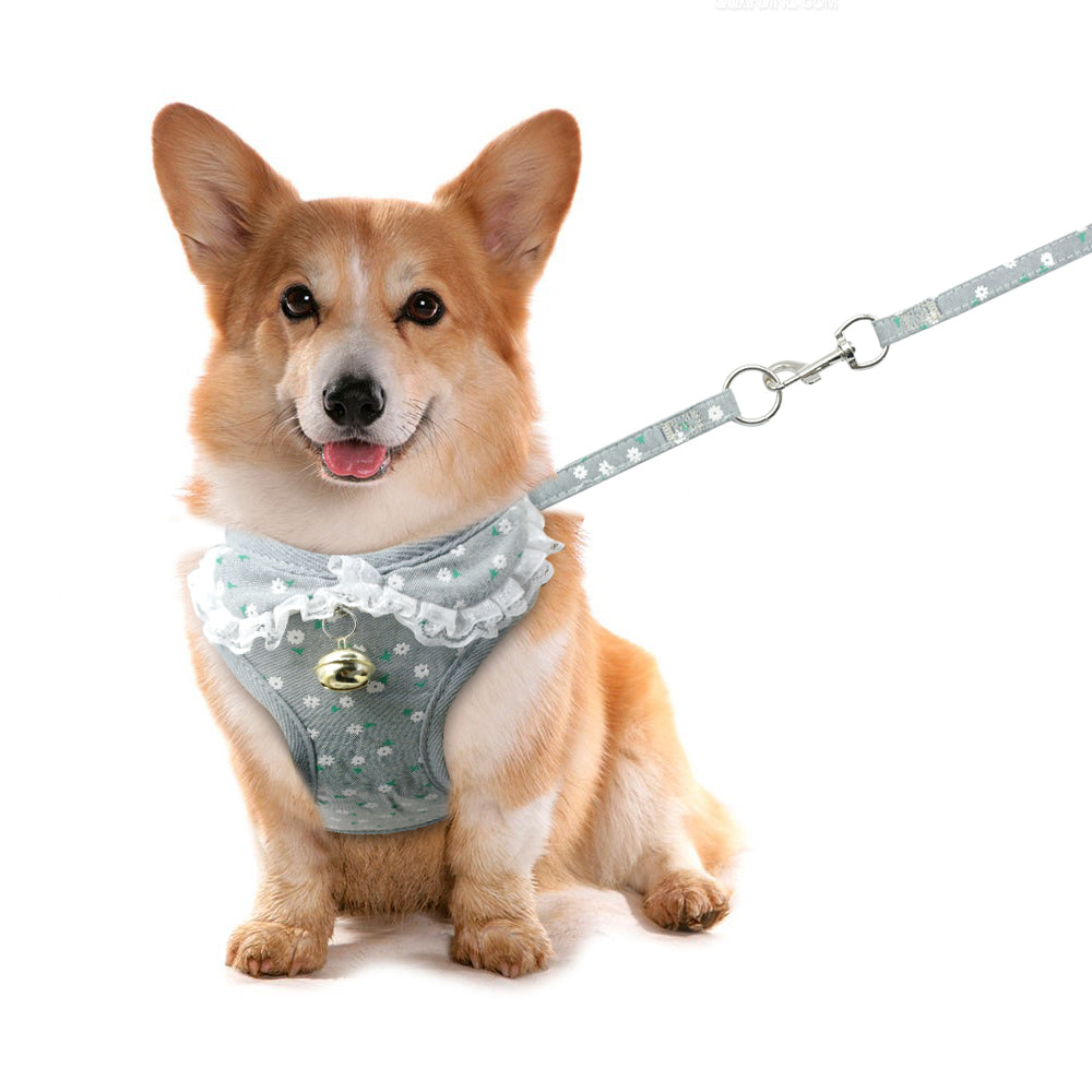 Chest harness bell dog leash