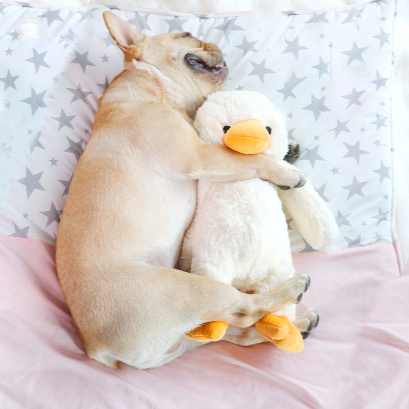 Pet Plush Toys