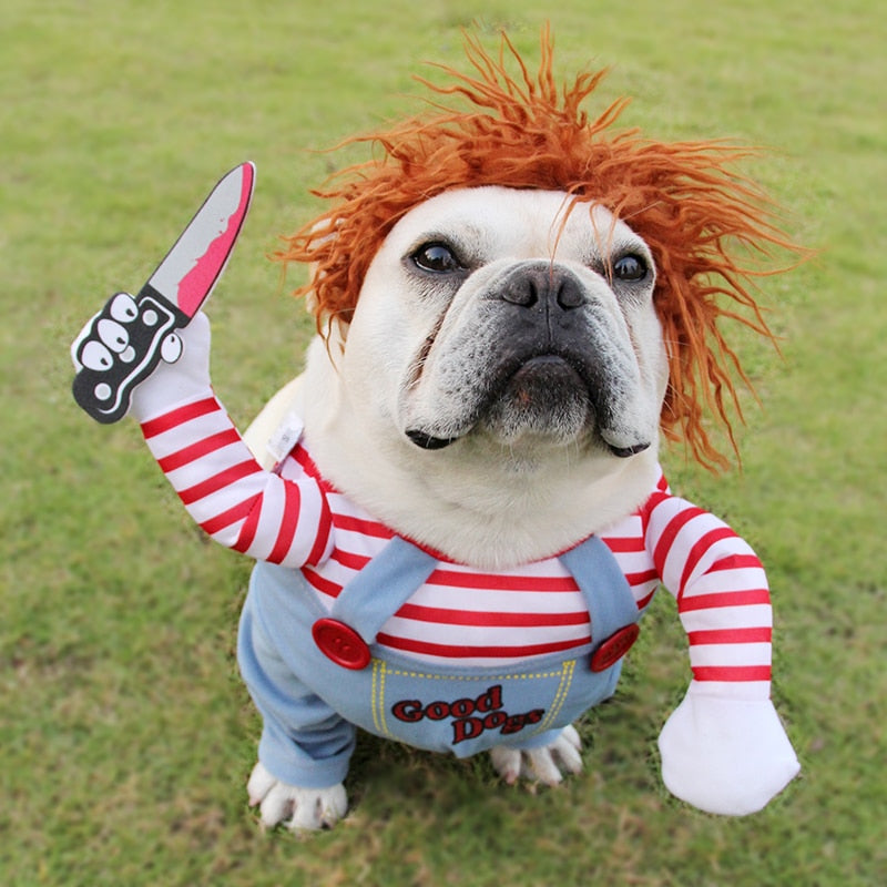 Halloween Costume for Dogs