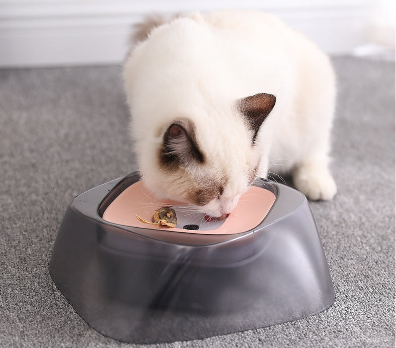 Bowl No Spill Drinking Water Feeder