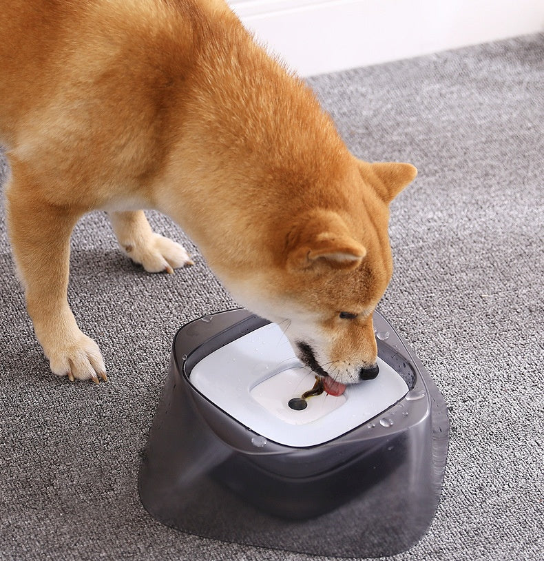 Bowl No Spill Drinking Water Feeder