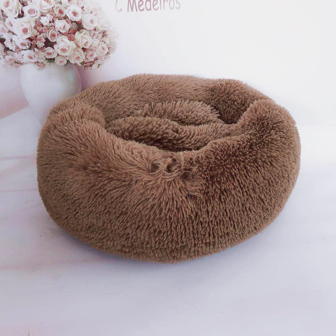 Cute Bed for Pets