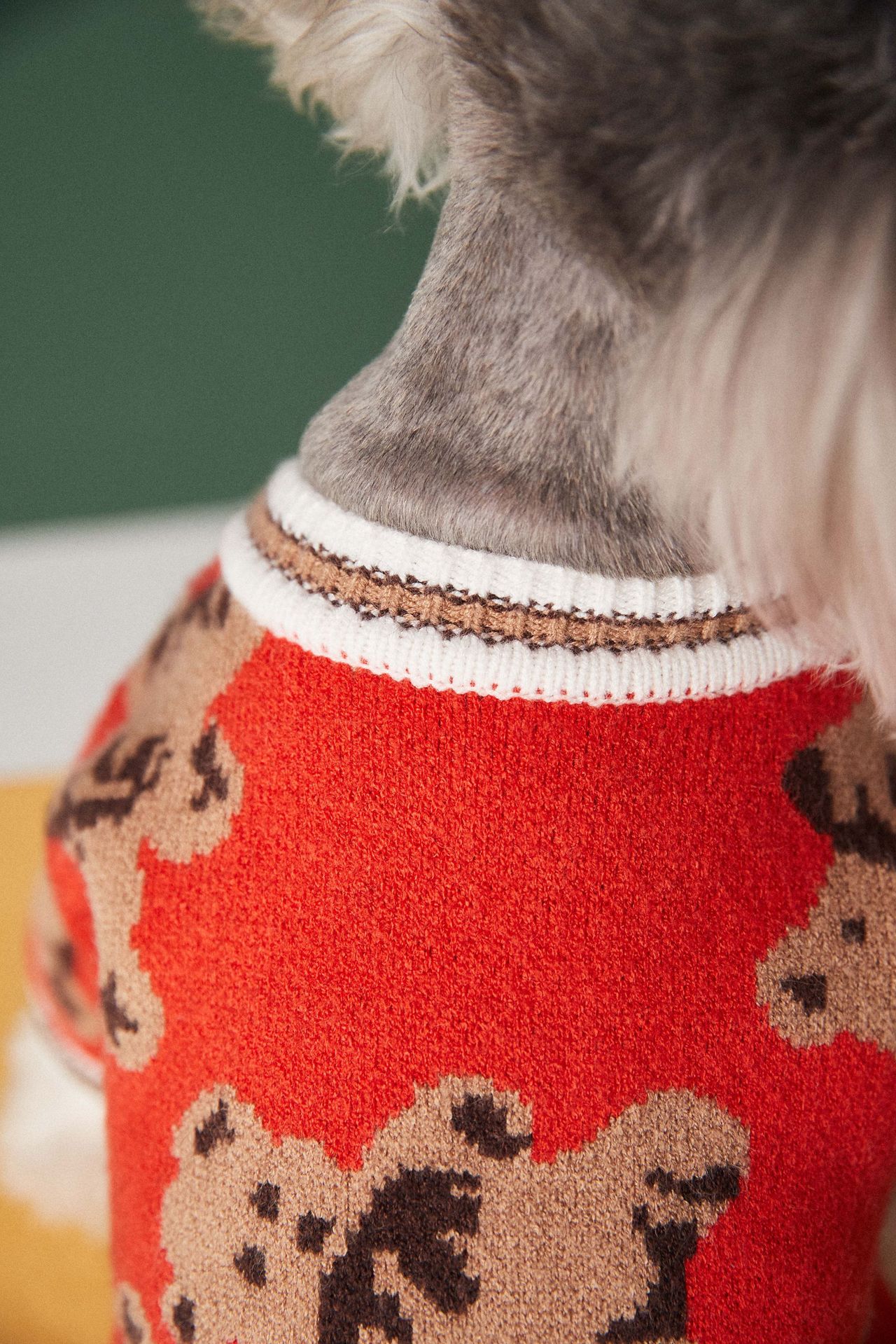 Sweater for Pets