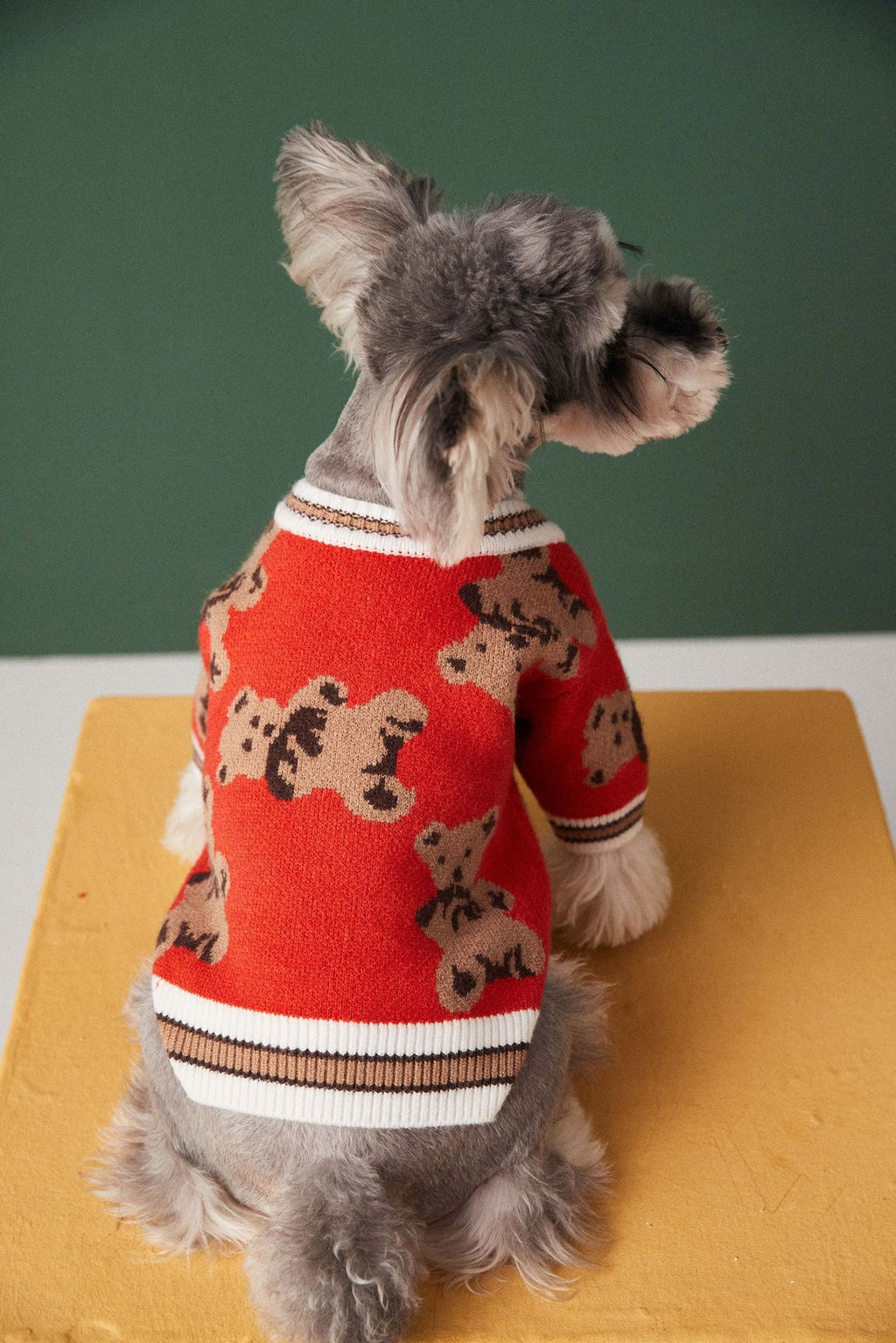 Sweater for Pets