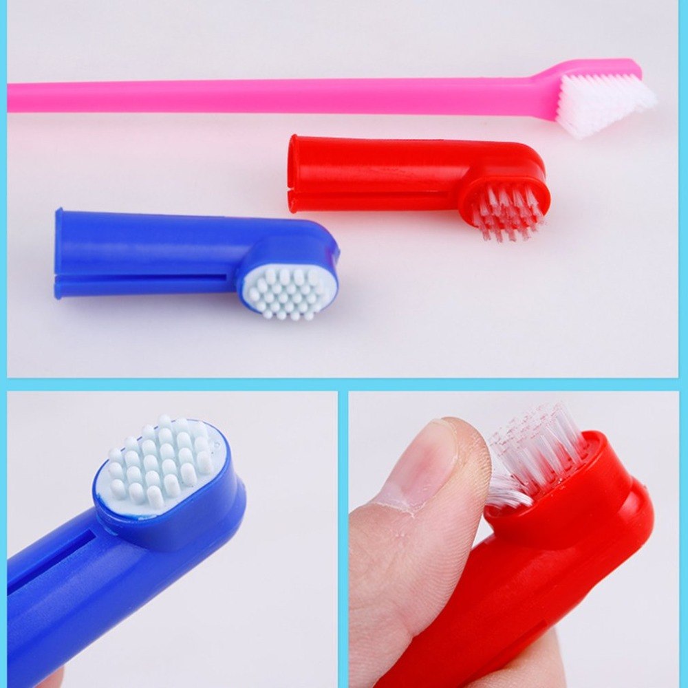 Set of Toothbrushes for Pets
