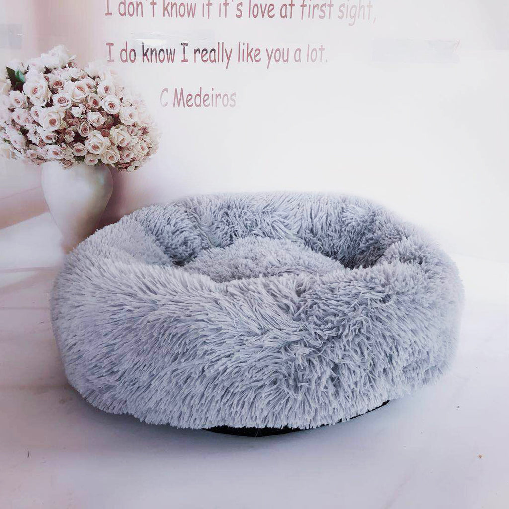 Cute Bed for Pets