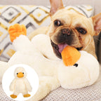 Pet Plush Toys