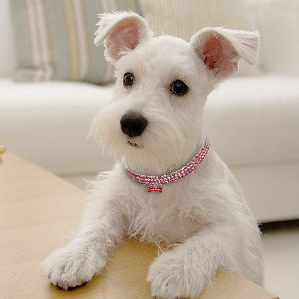 Bling Rhinestone Collar Crystal