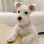 Bling Rhinestone Collar Crystal