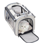 Safe Pet Carrier