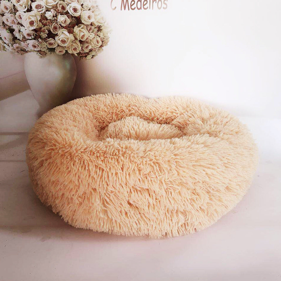 Cute Bed for Pets