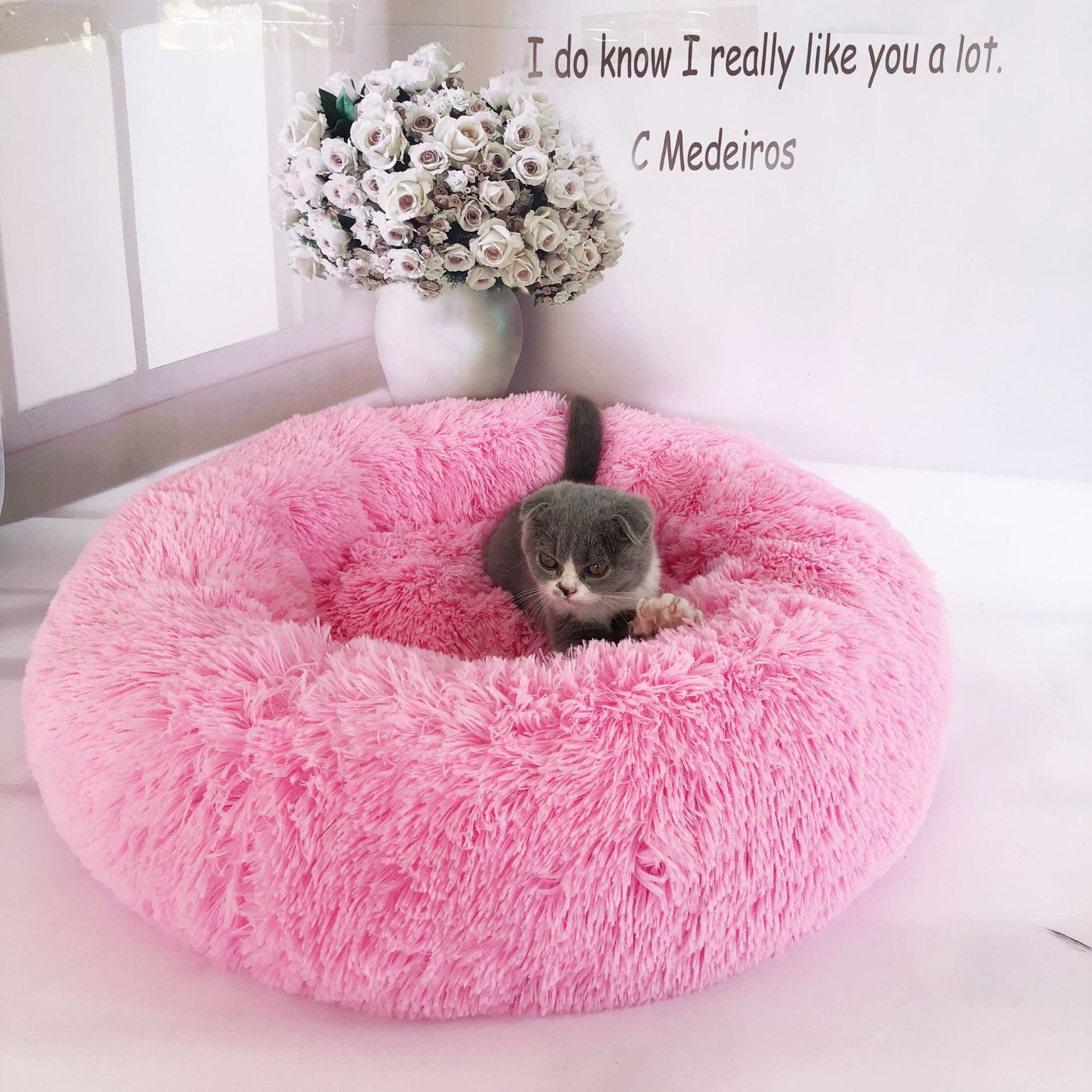 Cute Bed for Pets